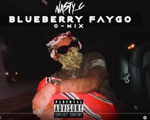 Nasty C - Blueberry Faygo