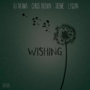 DJ Drama - Wishing (feat. Chris Brown, Skeme & Lyquin)