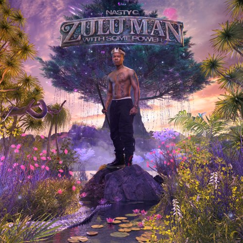 ALBUM: Nasty C - Zulu Man With Some Power