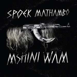 Album: Spoek Mathambo - Mshini Wam