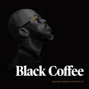 Black Coffee – Never Gonna Forget Ft. Diplo & Elderbrook