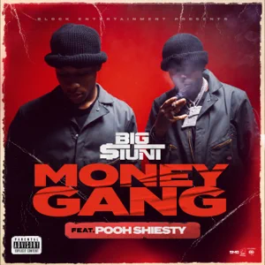 money gang feat. pooh shiesty single big tunt