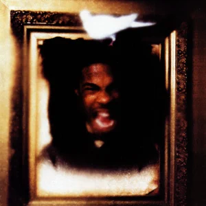 the coming 25th anniversary deluxe edition busta rhymes