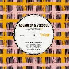 aquadeep – all you need ft. veesoul
