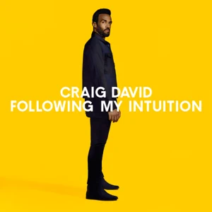 craig david following my intuition