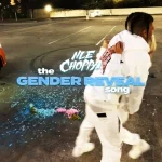 The Gender Reveal Song Single NLE Choppa
