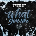 What You Like Single lougotcash and PnB Rock