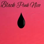Born Pink BLACKPINK NICO