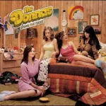 Spend the Night The Donnas